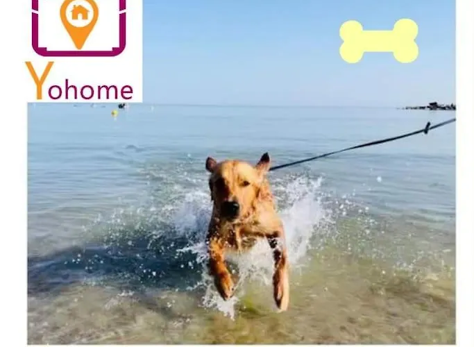 Leontine In By Yohome דירה Mondaino