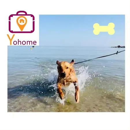 Leontine In By Yohome Apartment Mondaino